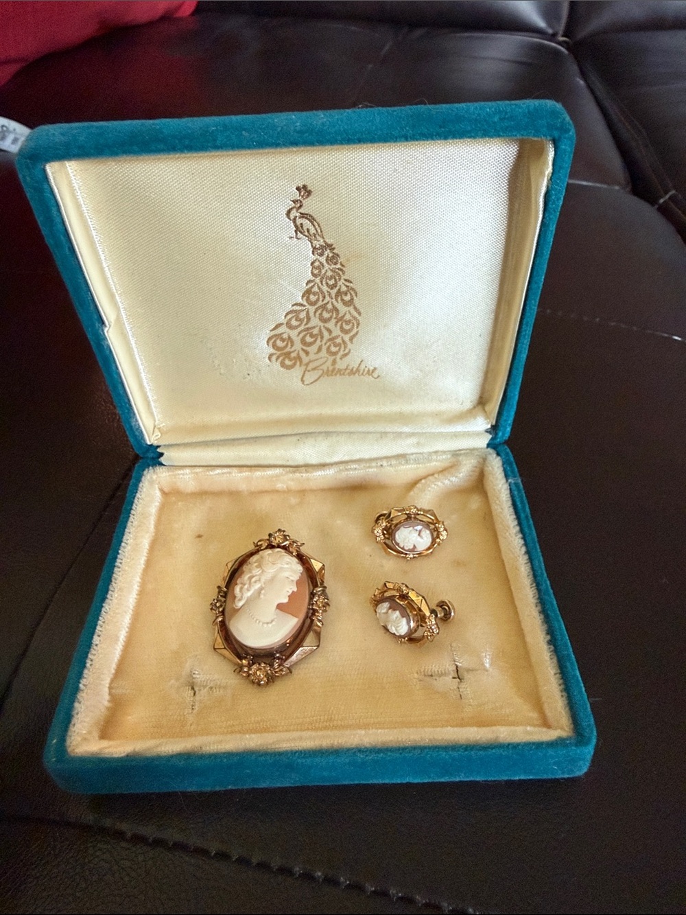 1930’s Vintage Wells 12K GF Shell Cameo Set Brent Shire Box Demi Parure